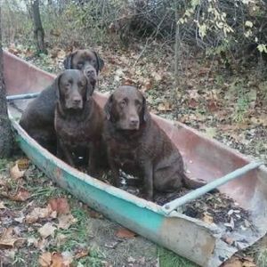 Meet your Posher, Chris